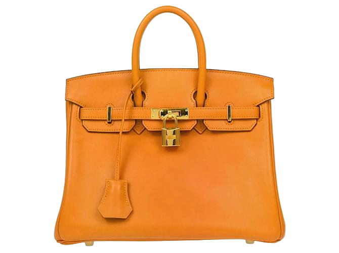 Birkin Bag